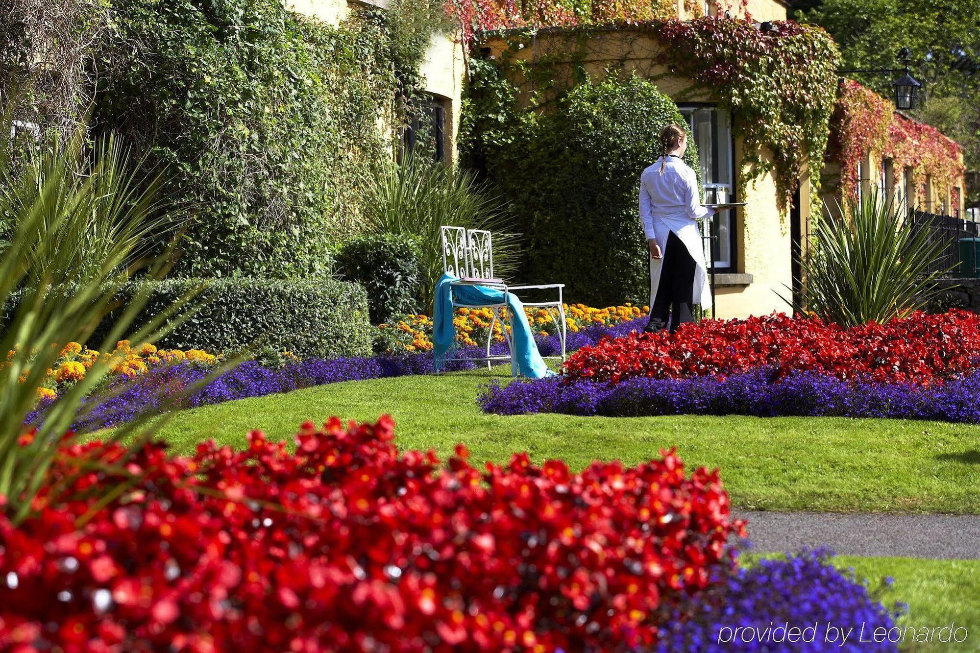 The Dunraven, Adare Hotel Съоръжения снимка